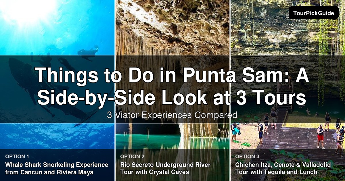 things to do in Punta Sam – three Viator experiences compared