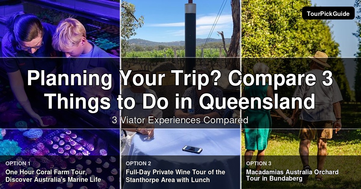 things to do in Queensland – three Viator experiences compared