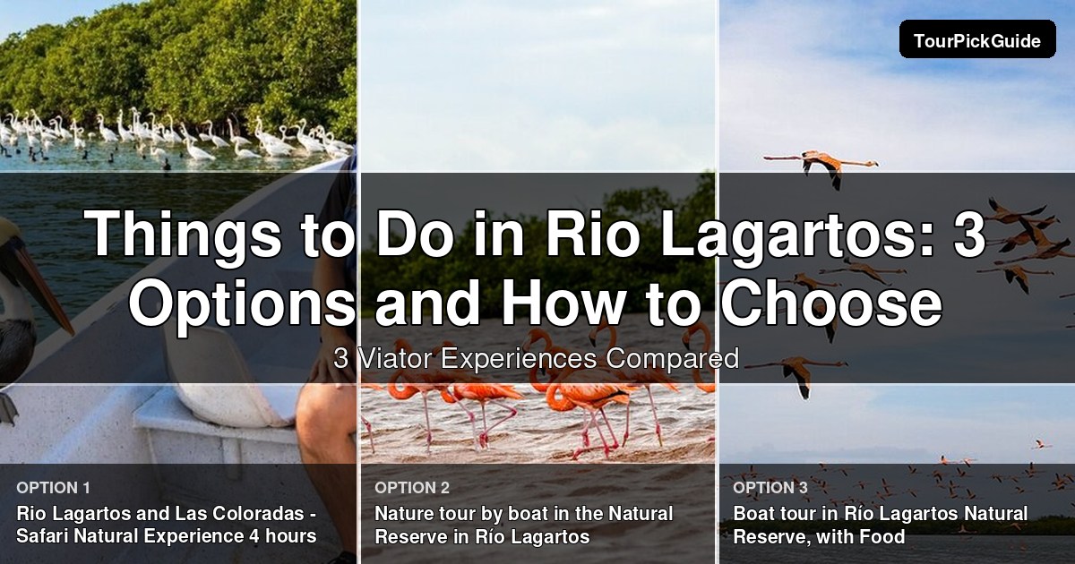 things to do in Rio Lagartos – three Viator experiences compared