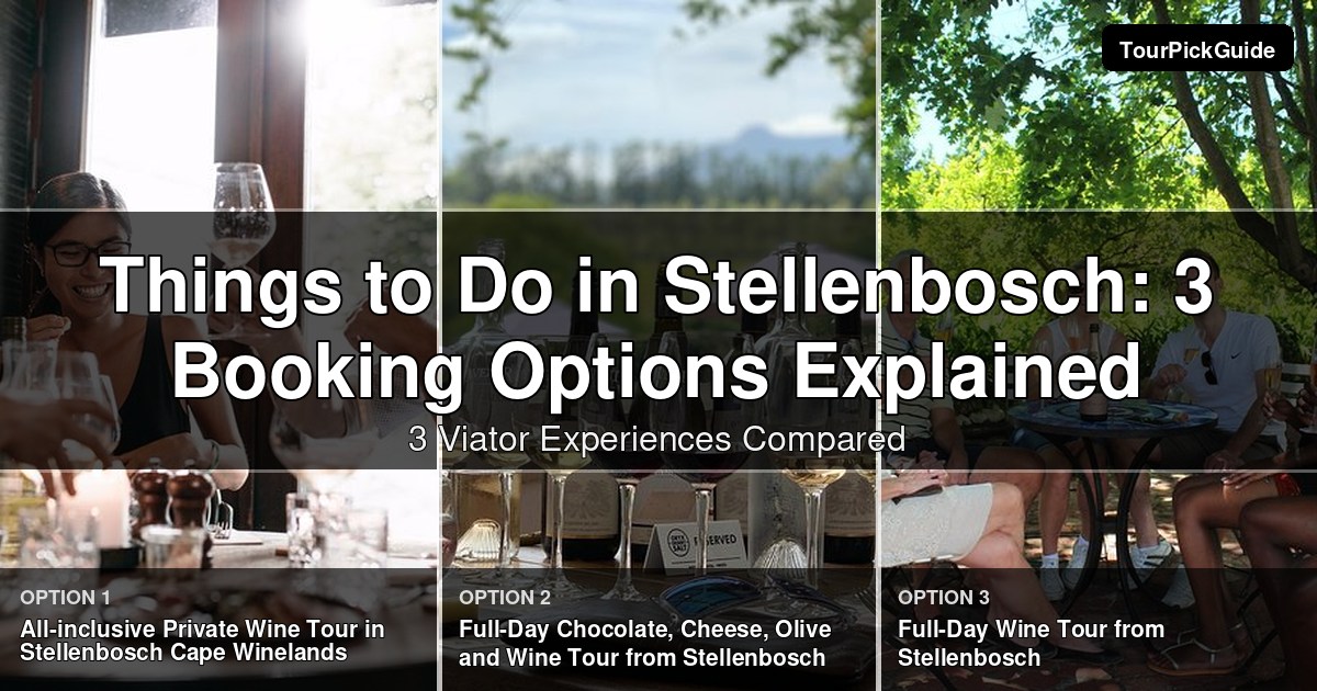 things to do in Stellenbosch – three Viator experiences compared