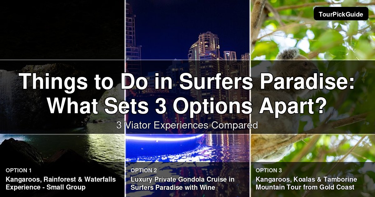 things to do in Surfers Paradise – three Viator experiences compared