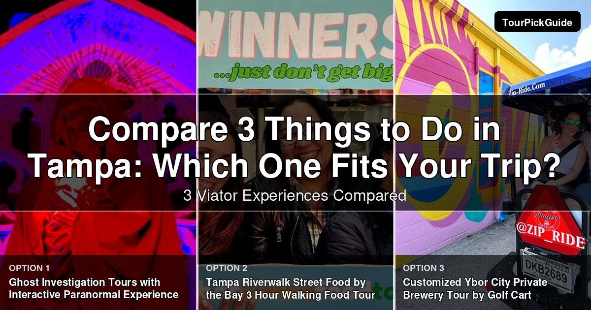 things to do in Tampa – three Viator experiences compared