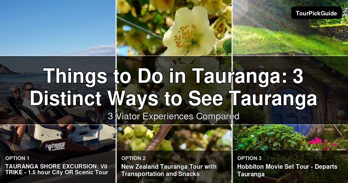 things to do in Tauranga – three Viator experiences compared