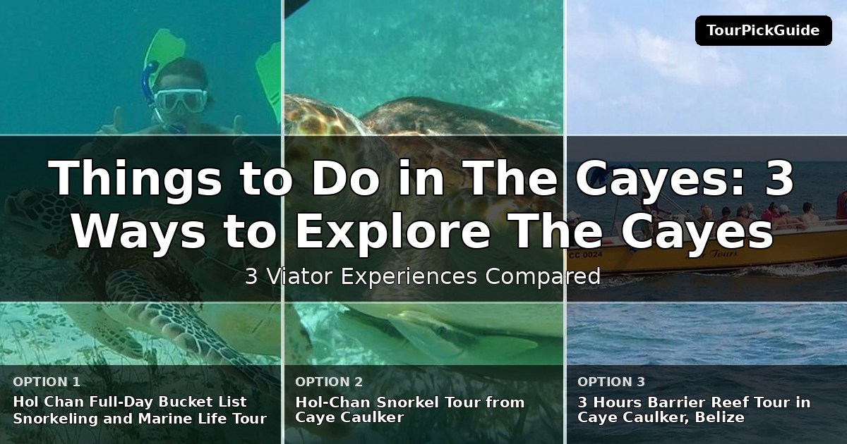 things to do in The Cayes – three Viator experiences compared