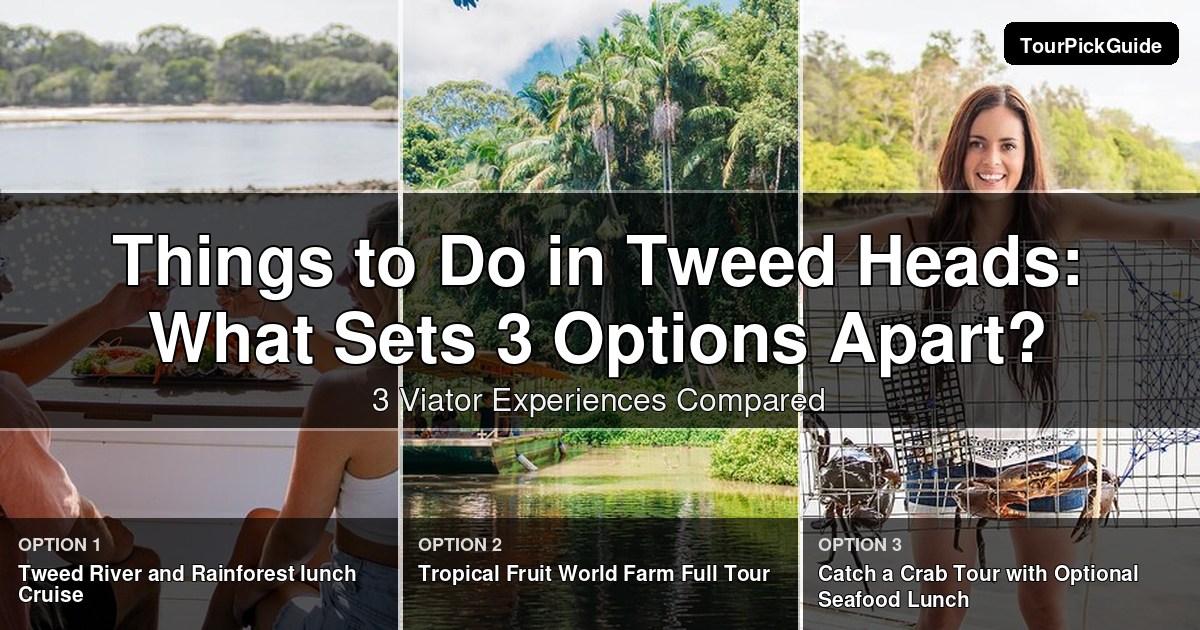 things to do in Tweed Heads – three Viator experiences compared
