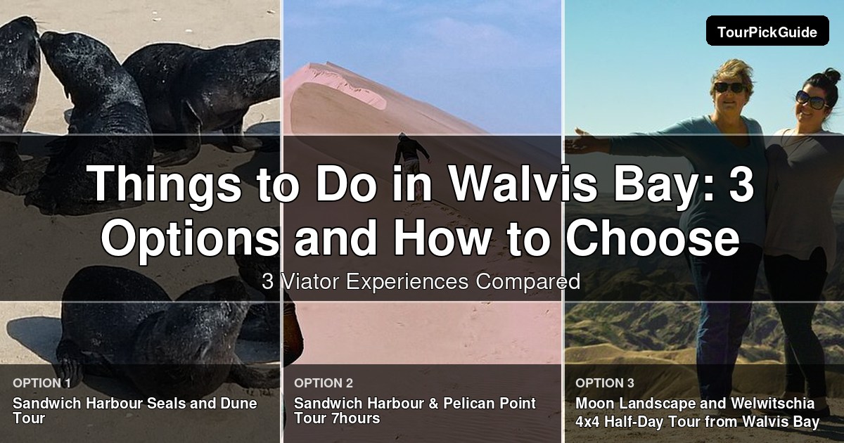 things to do in Walvis Bay – three Viator experiences compared
