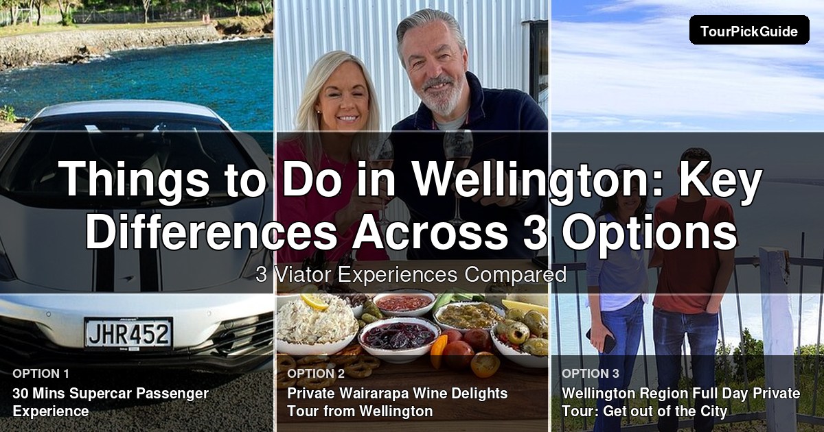 things to do in Wellington – three Viator experiences compared