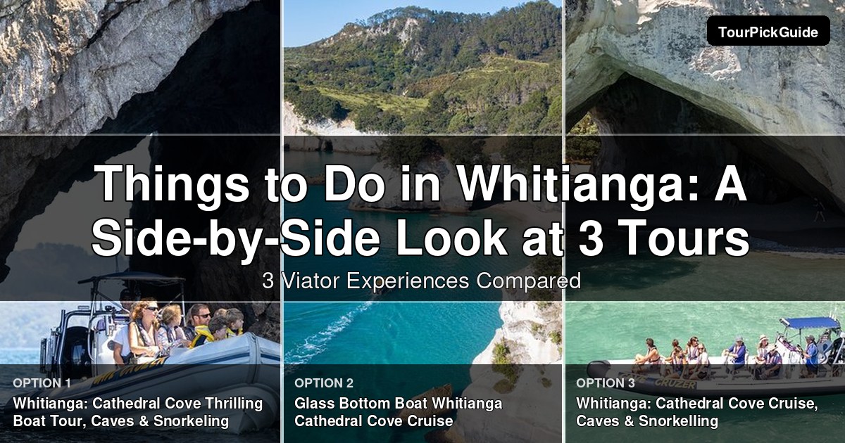 things to do in Whitianga – three Viator experiences compared