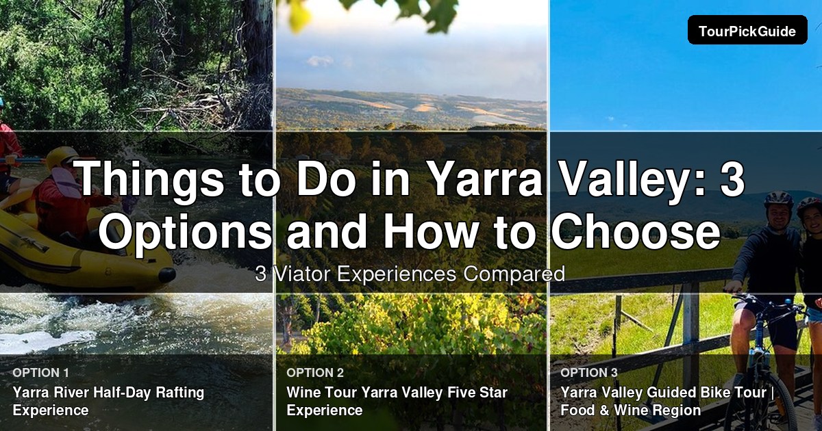 things to do in Yarra Valley – three Viator experiences compared
