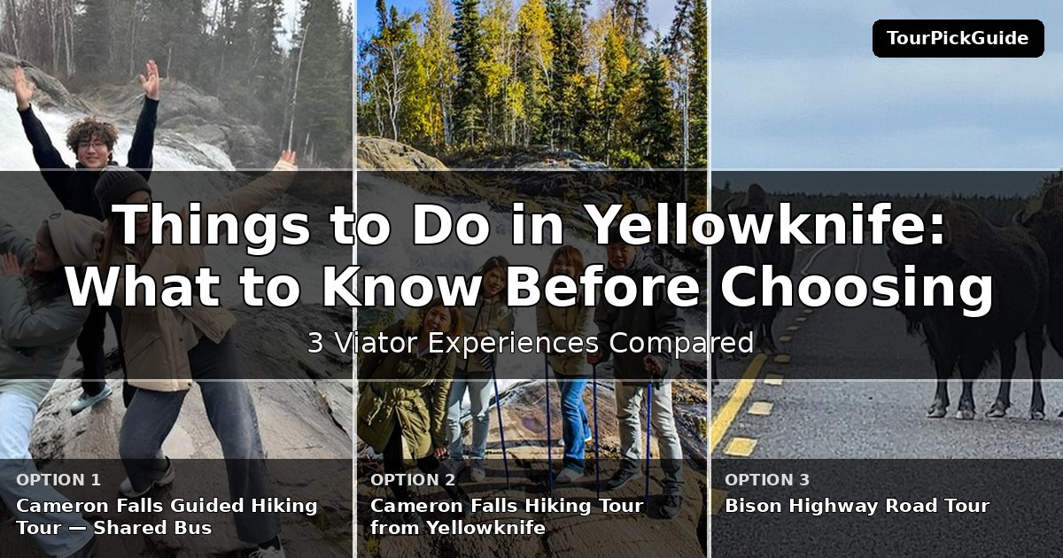 things to do in Yellowknife – three Viator experiences compared