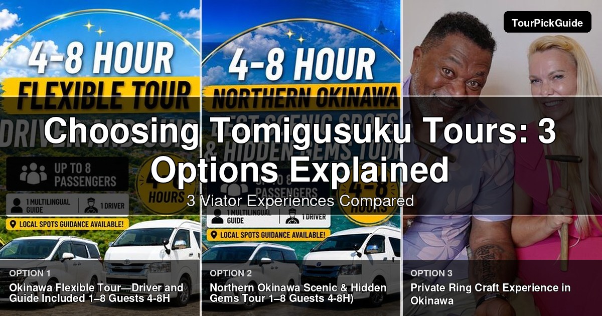 Tomigusuku tours – three Viator experiences compared