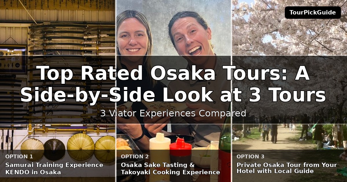 top rated Osaka tours – three Viator experiences compared