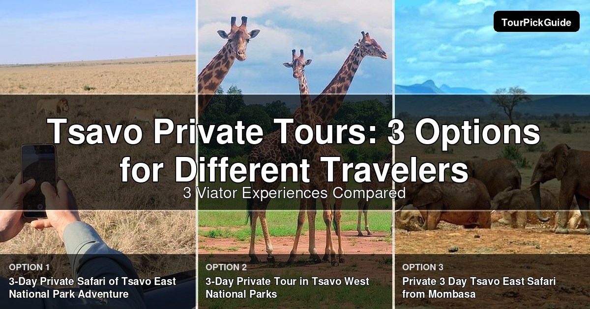 Tsavo private tours – three Viator experiences compared