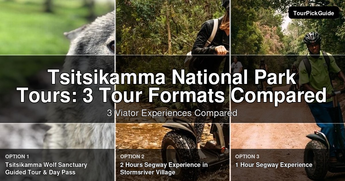Tsitsikamma National Park tours – three Viator experiences compared