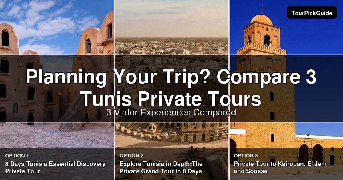 Tunis private tours – three Viator experiences compared