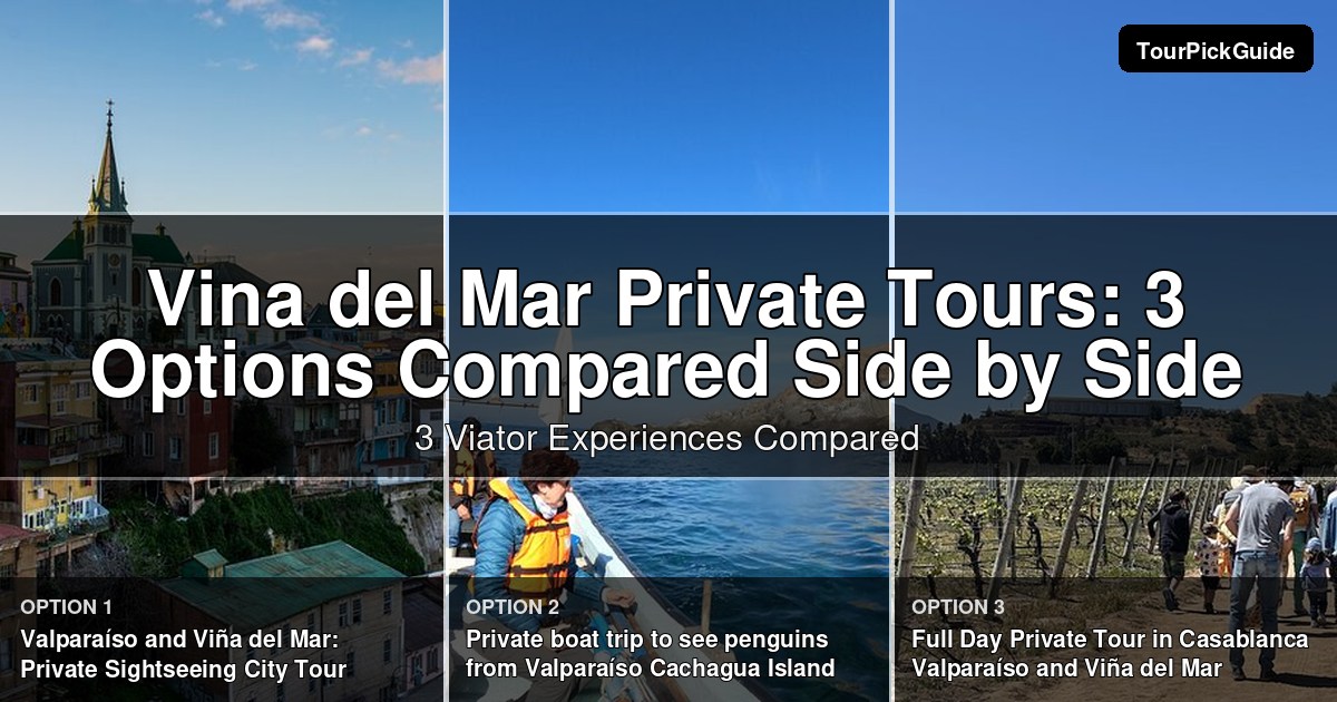 Vina del Mar private tours – three Viator experiences compared