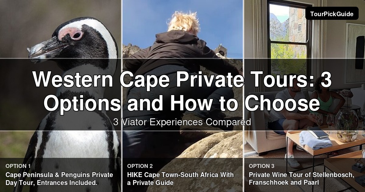 Western Cape private tours – three Viator experiences compared