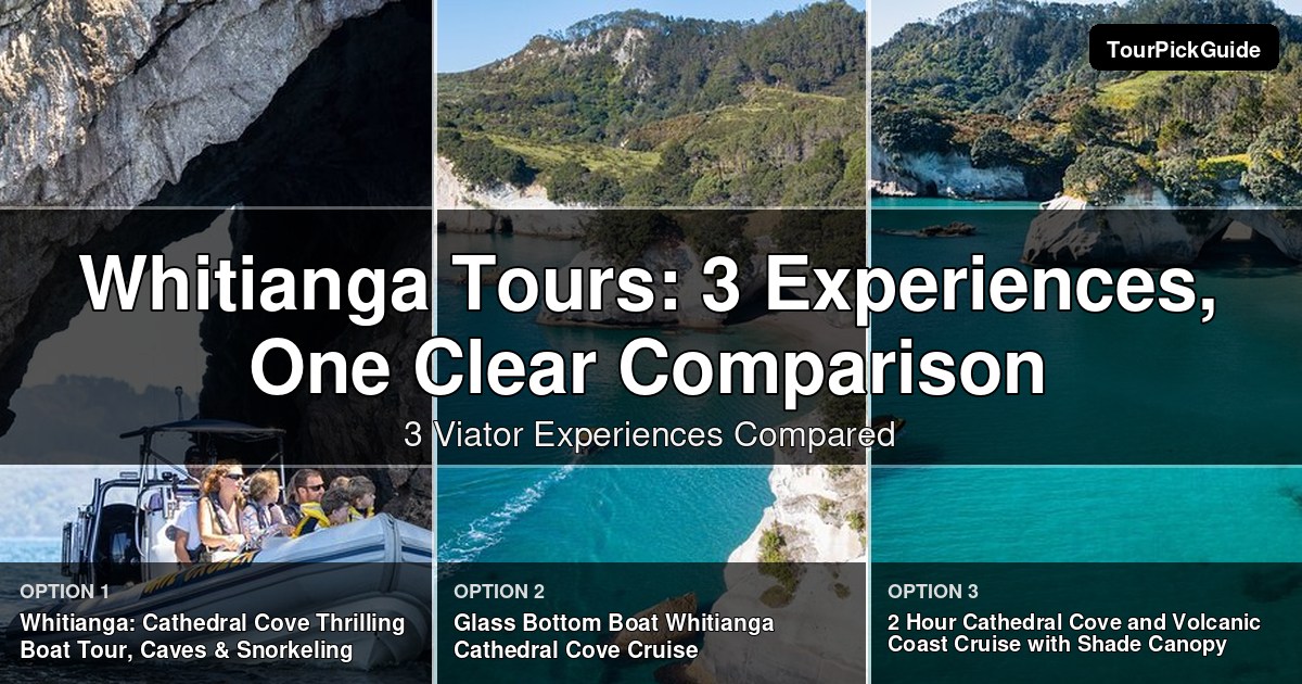 Whitianga tours – three Viator experiences compared