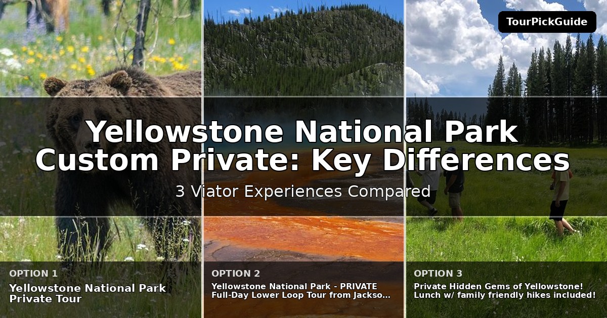 Yellowstone National Park custom private tours – three Viator experiences compared