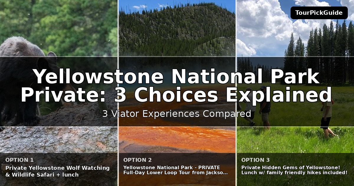 Yellowstone National Park private guided tours – three Viator experiences compared