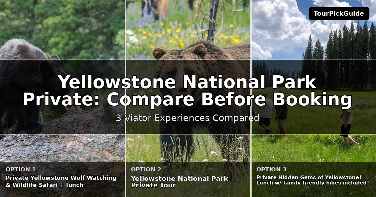 Yellowstone National Park private tours – three Viator experiences compared