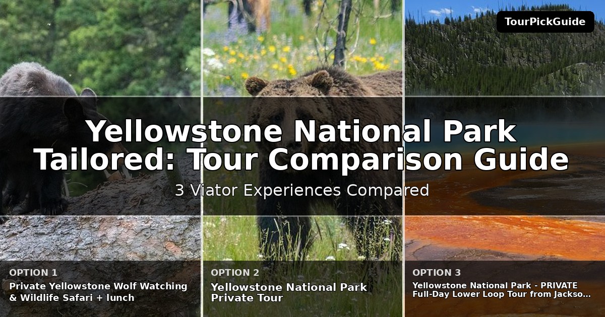 Yellowstone National Park tailored private tours – three Viator experiences compared