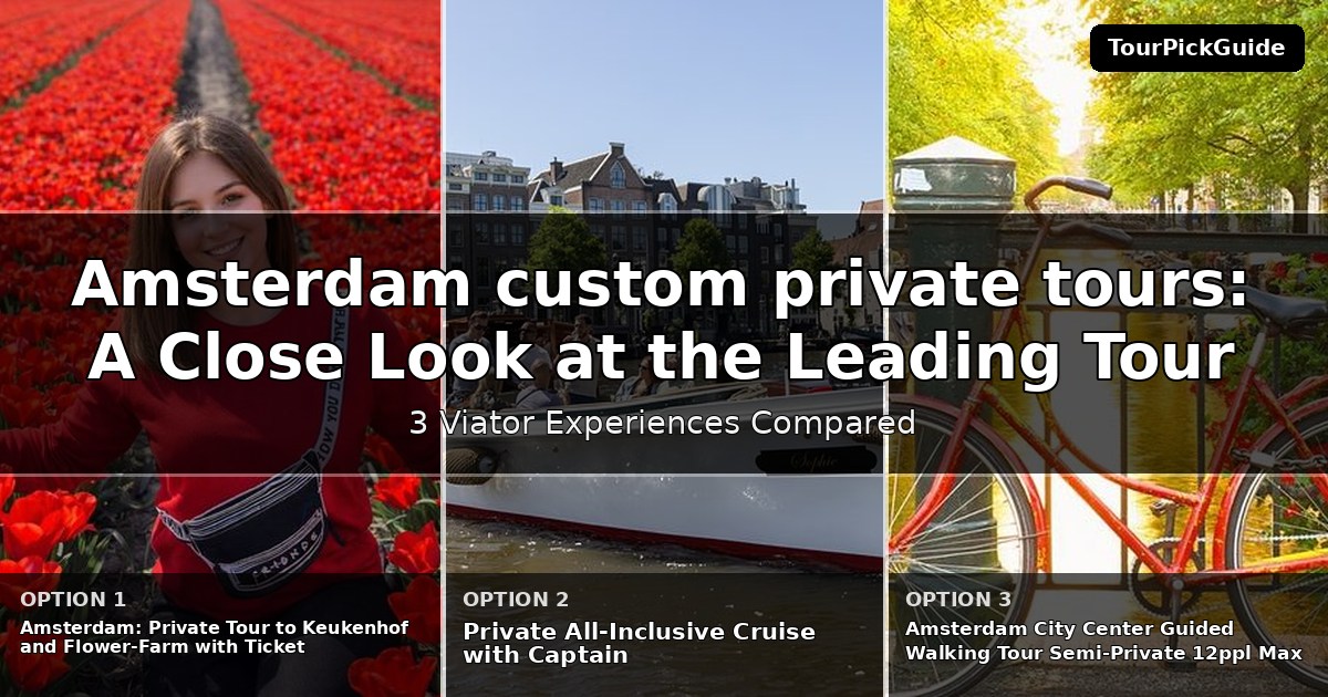 Amsterdam custom private tours – three Viator experiences compared