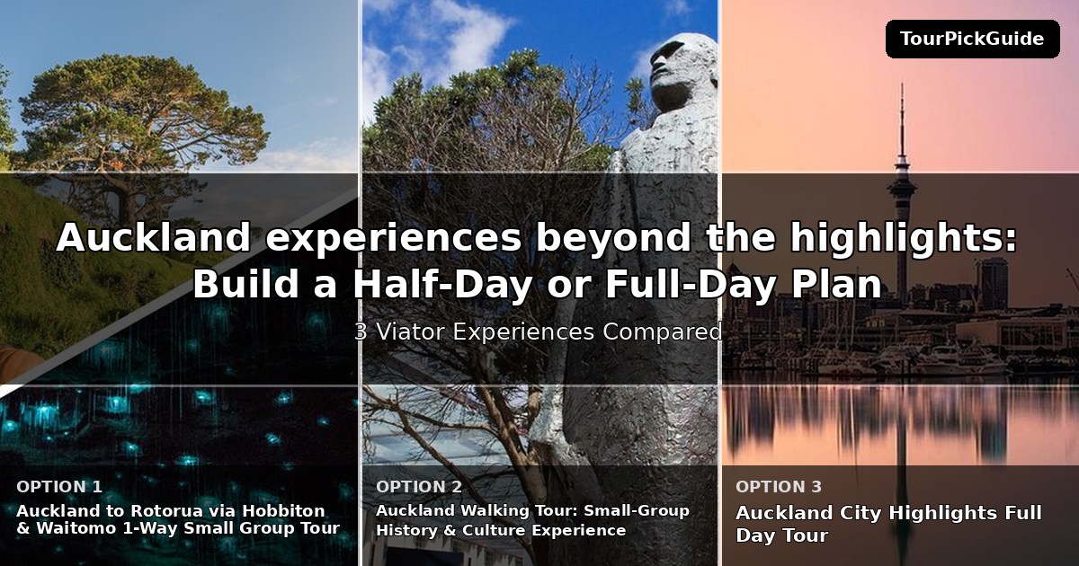 Auckland experiences beyond the highlights – three Viator experiences compared
