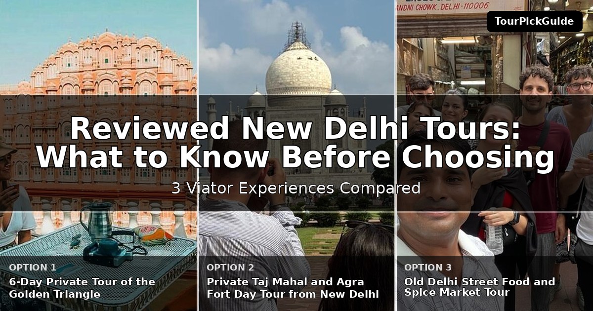 best reviewed New Delhi tours – three Viator experiences compared