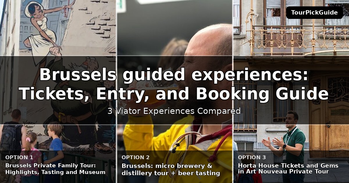 Brussels guided experiences – three Viator experiences compared