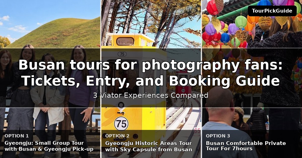 Busan tours for photography fans – three Viator experiences compared