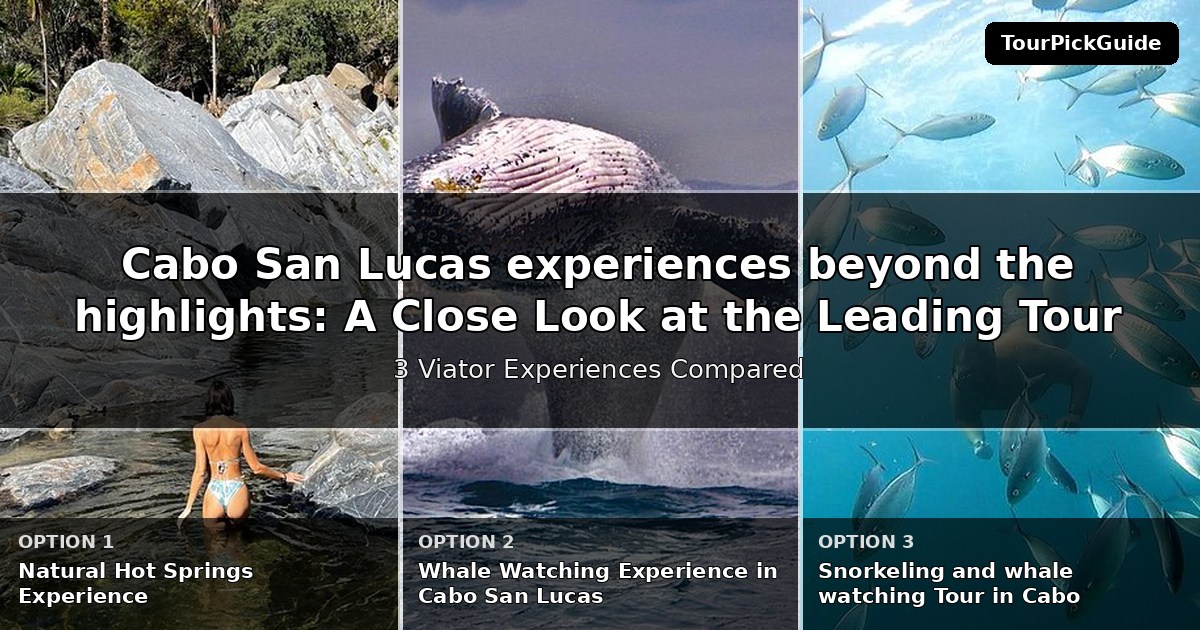 Cabo San Lucas experiences beyond the highlights – three Viator experiences compared