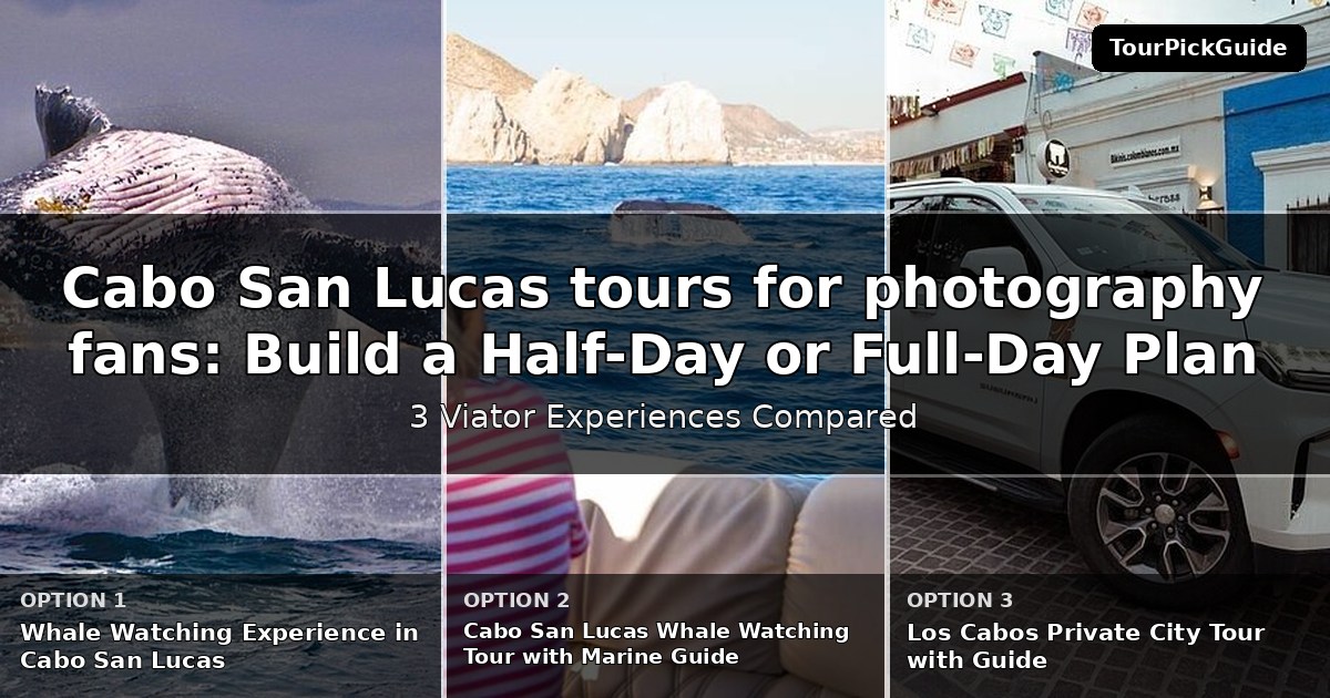 Cabo San Lucas tours for photography fans – three Viator experiences compared