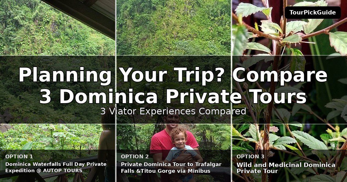 Dominica private tours – three Viator experiences compared