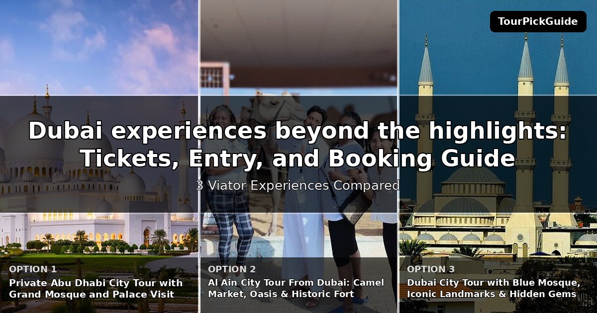 Dubai experiences beyond the highlights – three Viator experiences compared