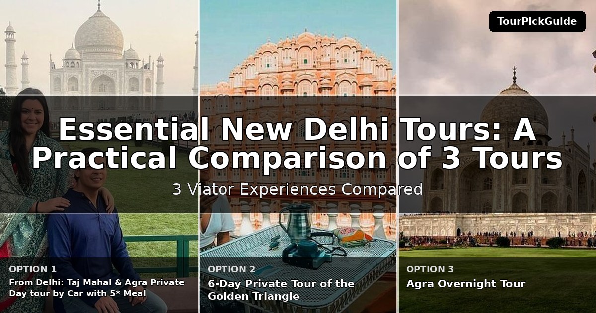 essential New Delhi tours – three Viator experiences compared