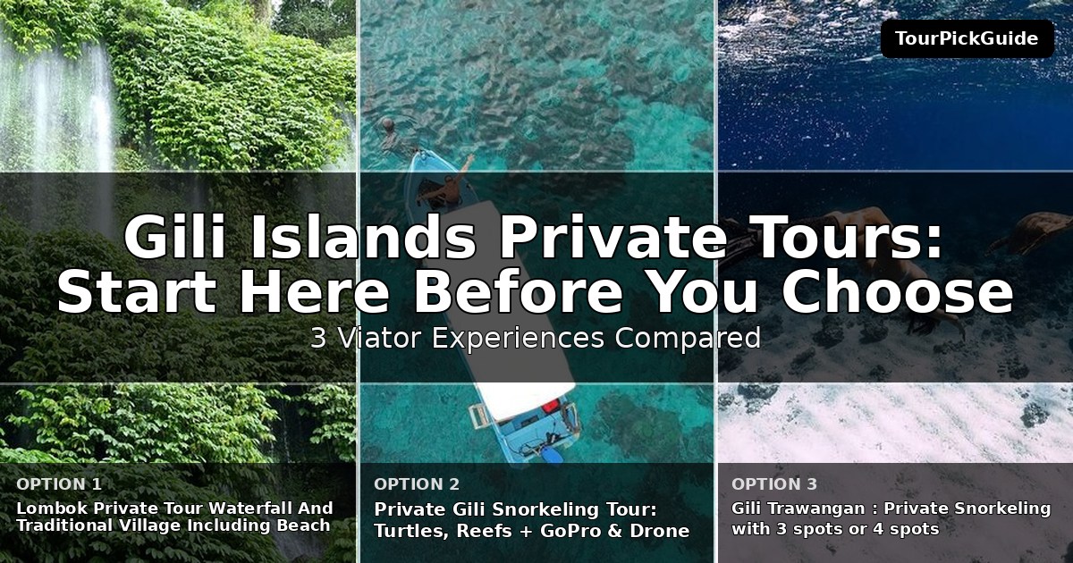 Gili Islands private tours – three Viator experiences compared