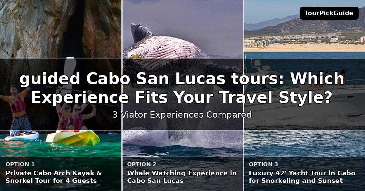 guided Cabo San Lucas tours – three Viator experiences compared