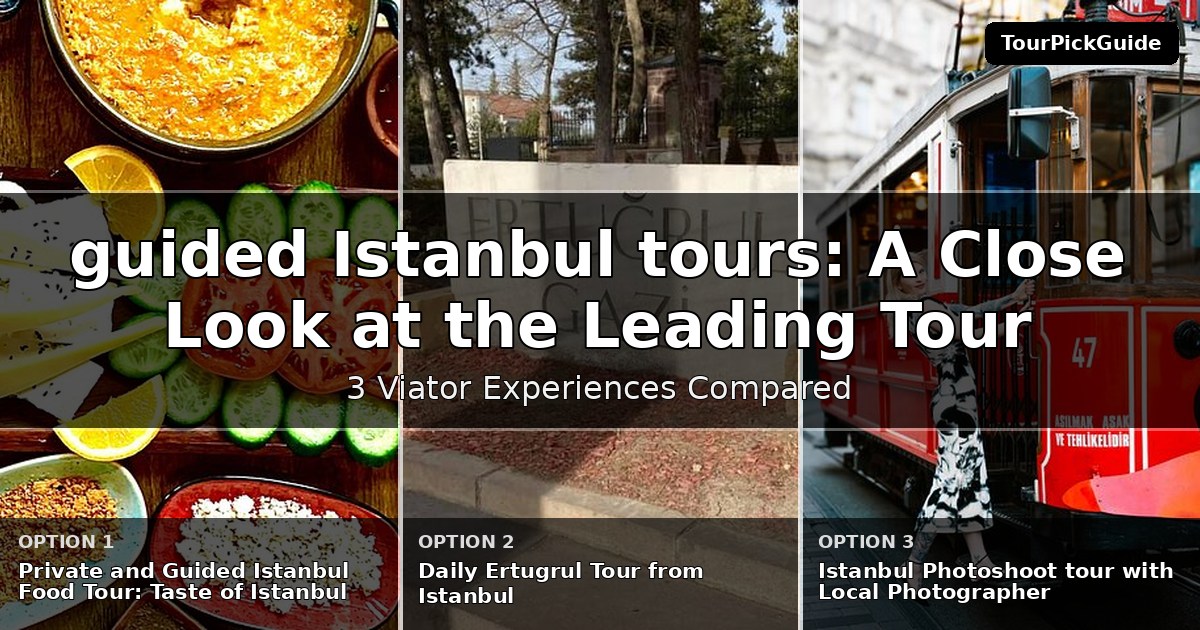 guided Istanbul tours – three Viator experiences compared