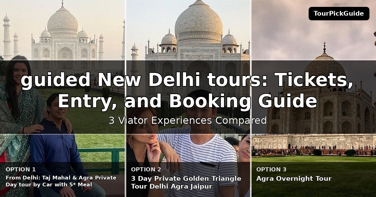 guided New Delhi tours – three Viator experiences compared