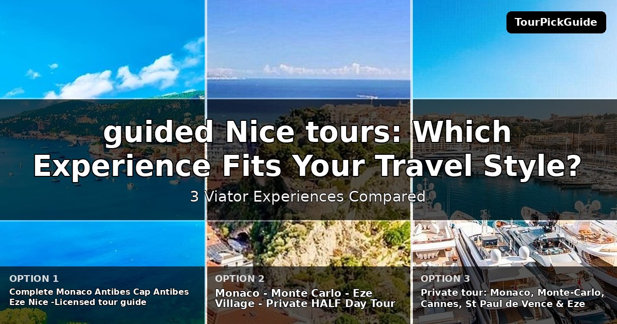 guided Nice tours – three Viator experiences compared