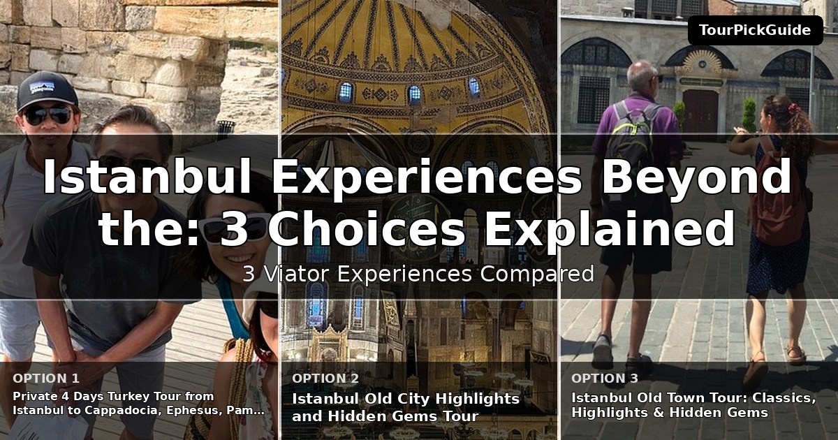 Istanbul experiences beyond the highlights – three Viator experiences compared