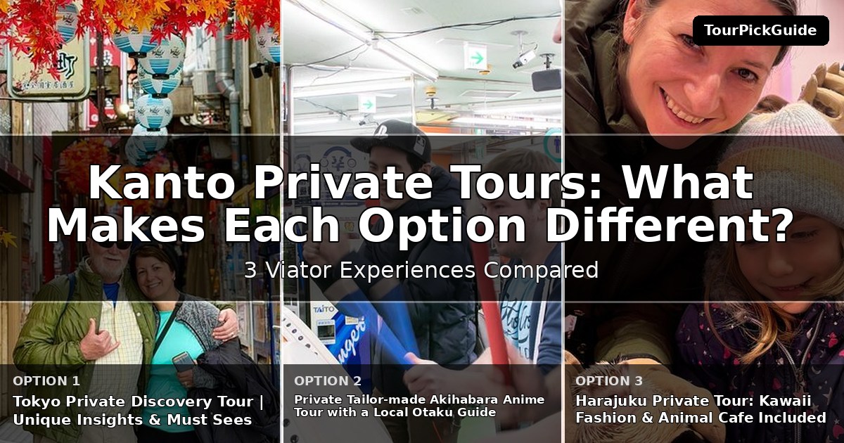 Kanto private tours – three Viator experiences compared