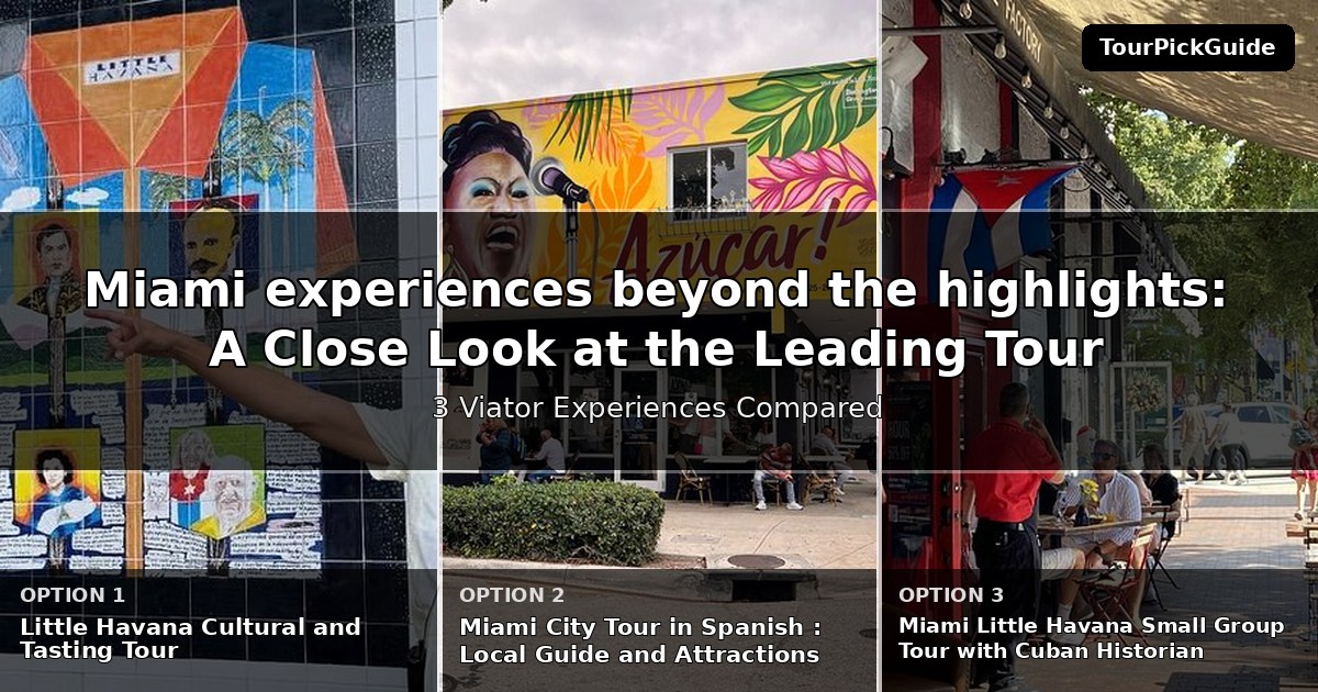 Miami experiences beyond the highlights – three Viator experiences compared