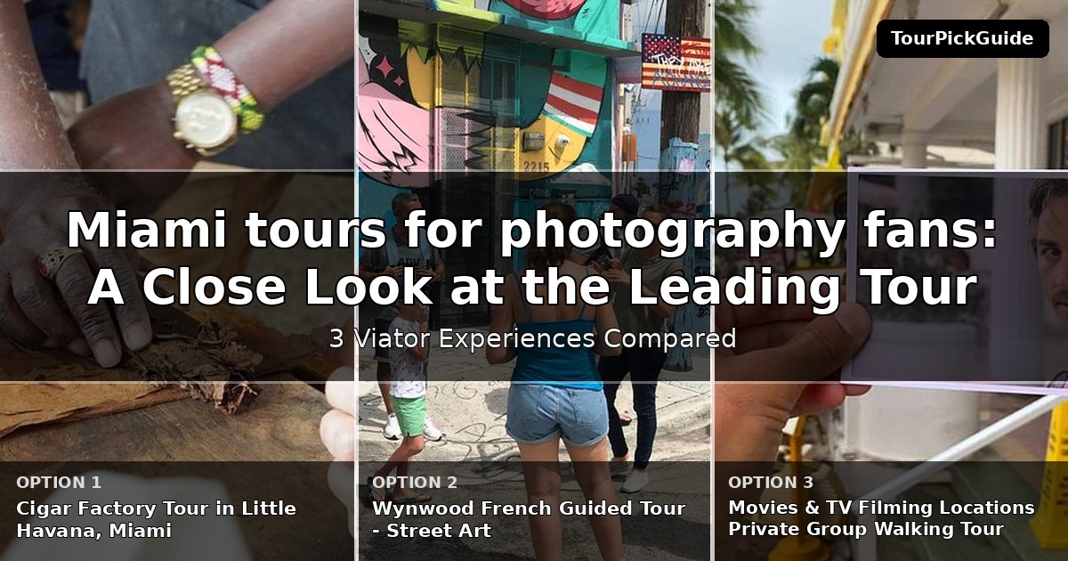 Miami tours for photography fans – three Viator experiences compared