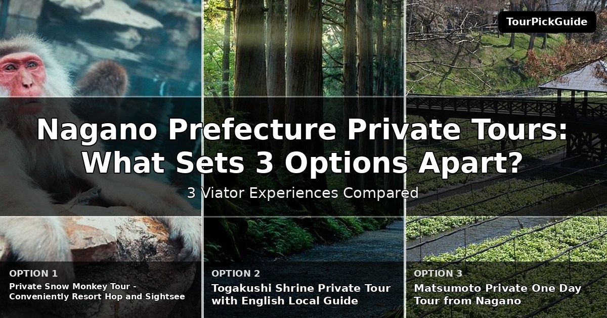 Nagano Prefecture private tours – three Viator experiences compared