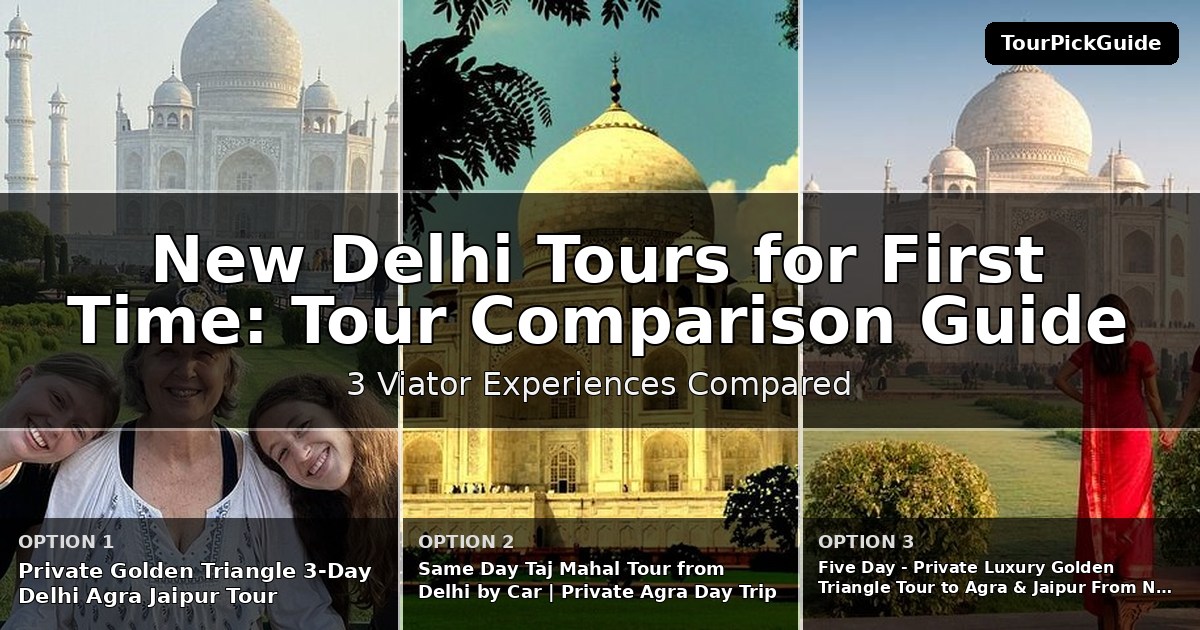 New Delhi tours for first time visitors – three Viator experiences compared