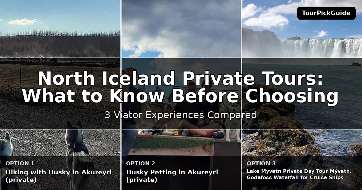 North Iceland private tours – three Viator experiences compared