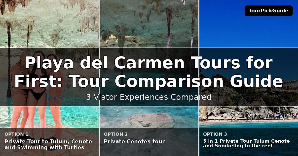 Playa del Carmen tours for first time visitors – three Viator experiences compared