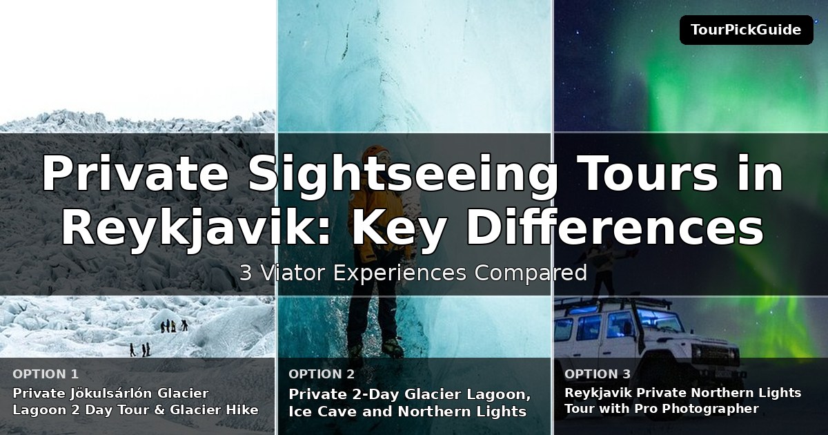 private sightseeing tours in Reykjavik – three Viator experiences compared